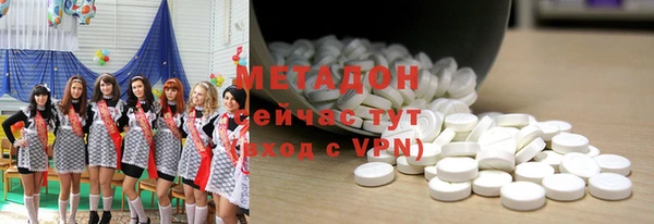 прущие грибы Медвежьегорск