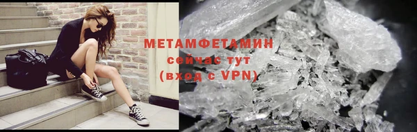 прущие грибы Мегион