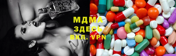 прущие грибы Медвежьегорск