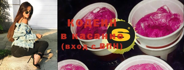 прущие грибы Медвежьегорск