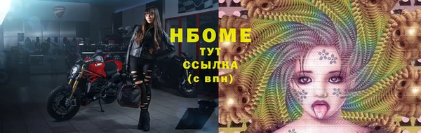 прущие грибы Медвежьегорск